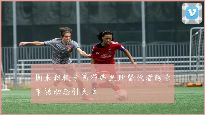 国米积极寻觅邓弗里斯替代者转会市场动态引关注