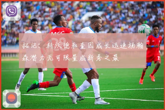 拓记：科沃德和奎因成长迅速杨瀚森潜力无可限量成新秀之最