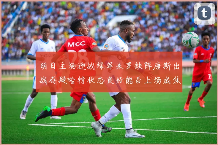 明日主场迎战绿军米罗缺阵唐斯出战存疑哈特状态良好能否上场成焦点