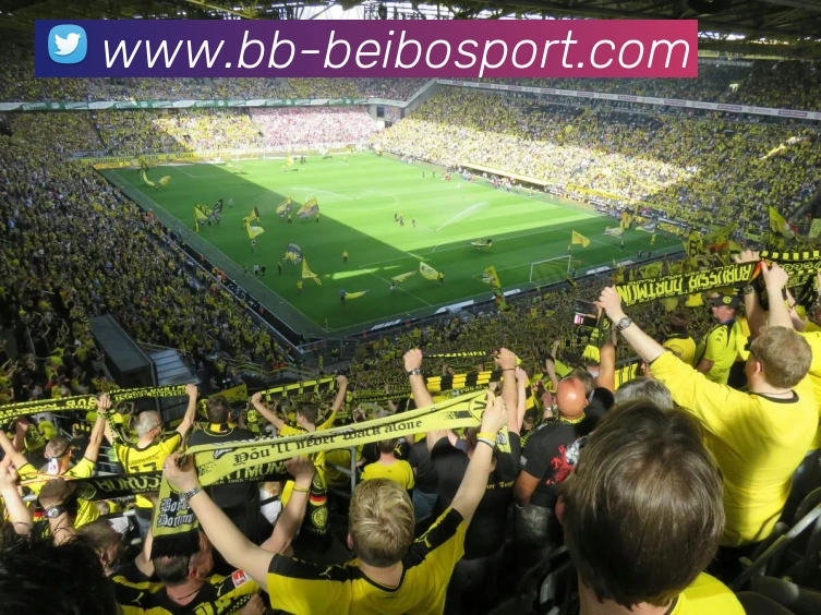 贝博足球APP 高清赛事图