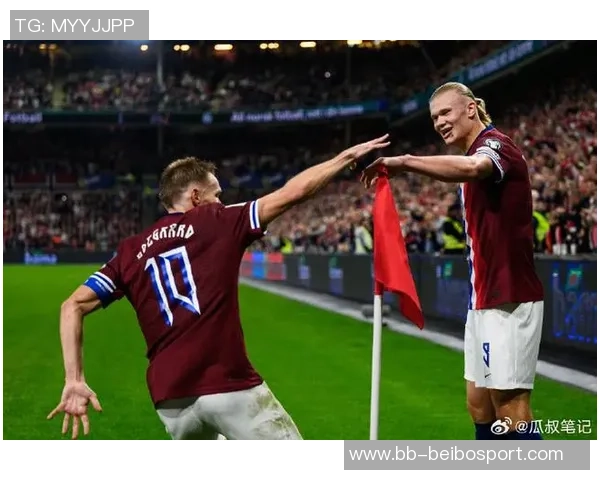 哈兰德世预赛表现惊艳6场打入12球超越第二名两倍之多 哈兰德世预赛表现惊艳6场打入12球超越第二名两倍之多