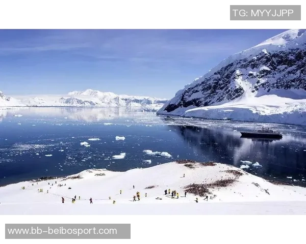 库迪西亚高层表示罗杰斯任命将助力俱乐部跻身亚洲顶尖行列